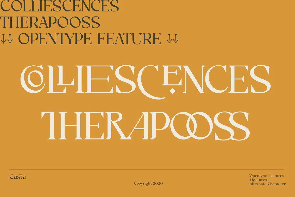 Casta Sans Serif Font 3