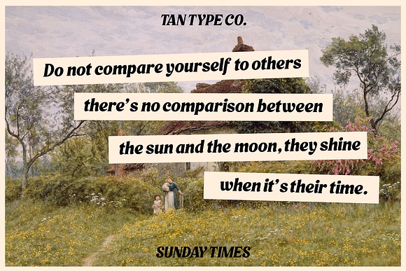 TAN SUNDAY TIMES FONT 2