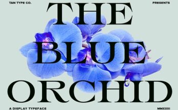 TAN THE BLUE ORCHID FONT