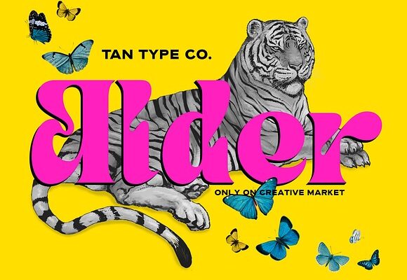 TAN ALDER FONT