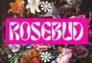 TAN ROSEBUD FONT