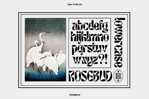 TAN ROSEBUD FONT 2
